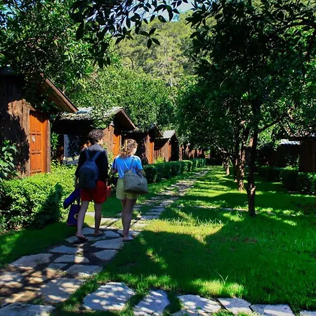 Korsan Olympos