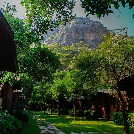 Korsan * Olympos