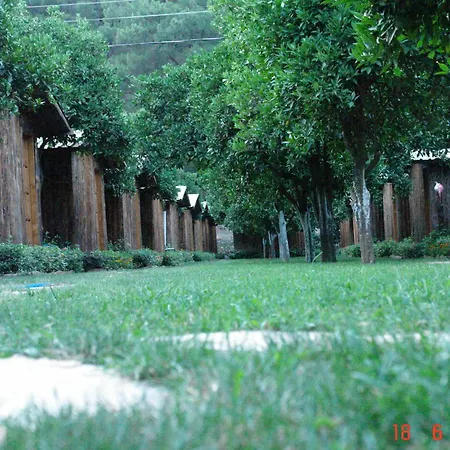 Korsan