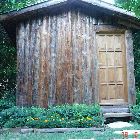 Korsan * Olympos