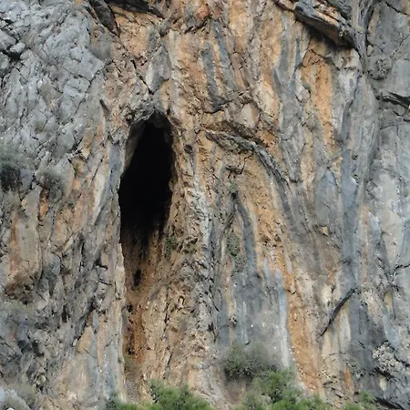 Korsan Olympos