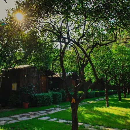 Korsan Gæstehus Olympos