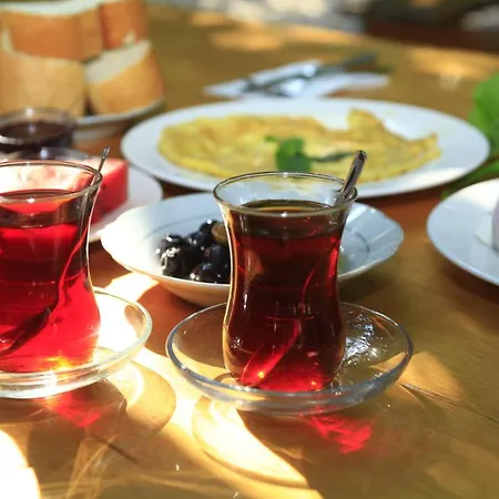 Korsan *