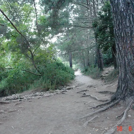 Korsan Gæstehus Olympos